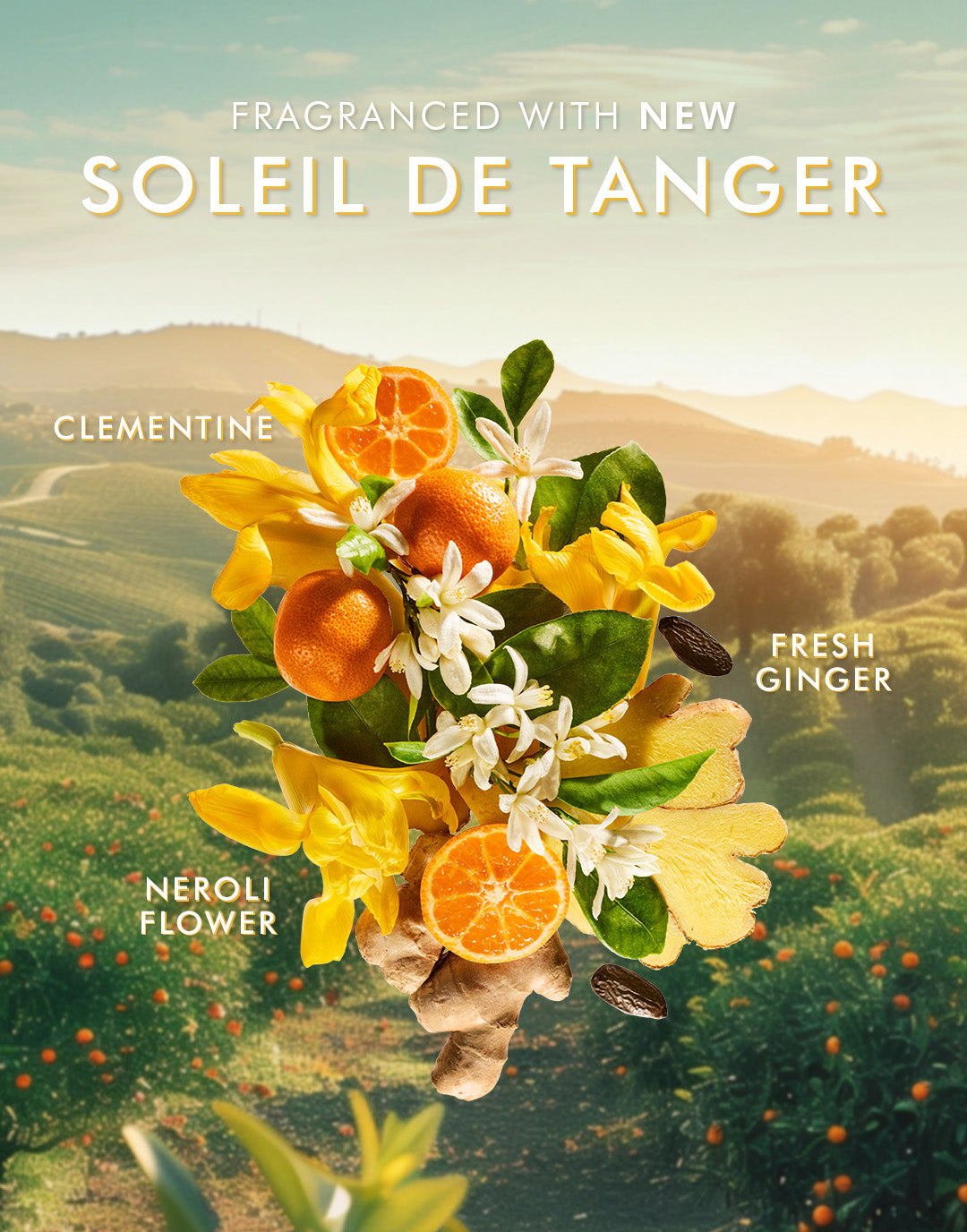 Körperlotion Soleil de Tanger