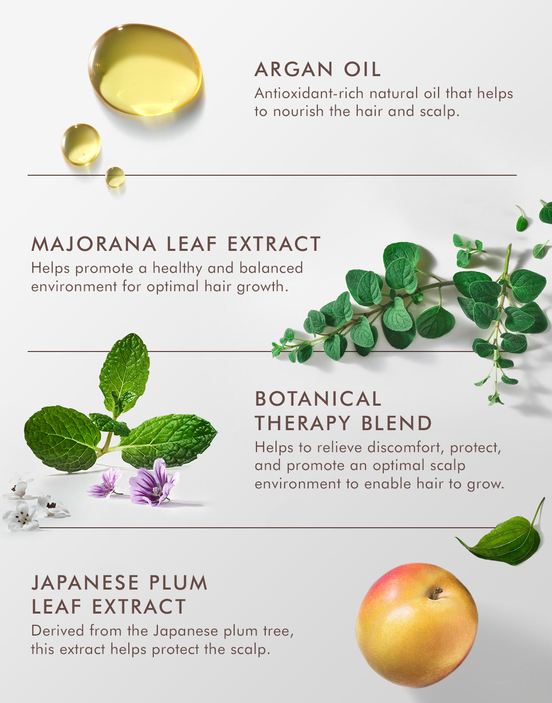 Revitalisierendes Tonic für die Kopfhaut 
