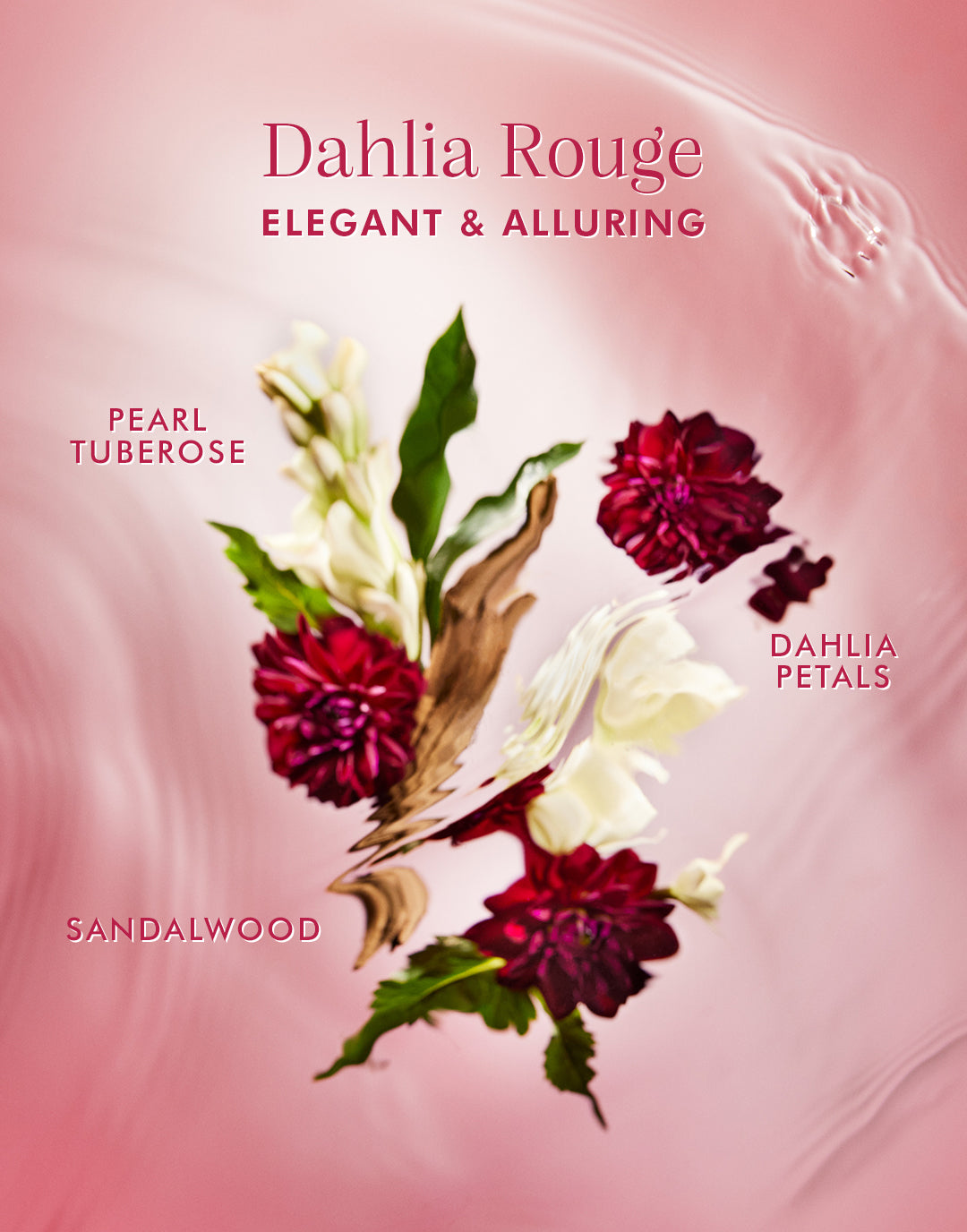 Dahlia Rouge Hair und Feinster Duft für Haar und Körper 