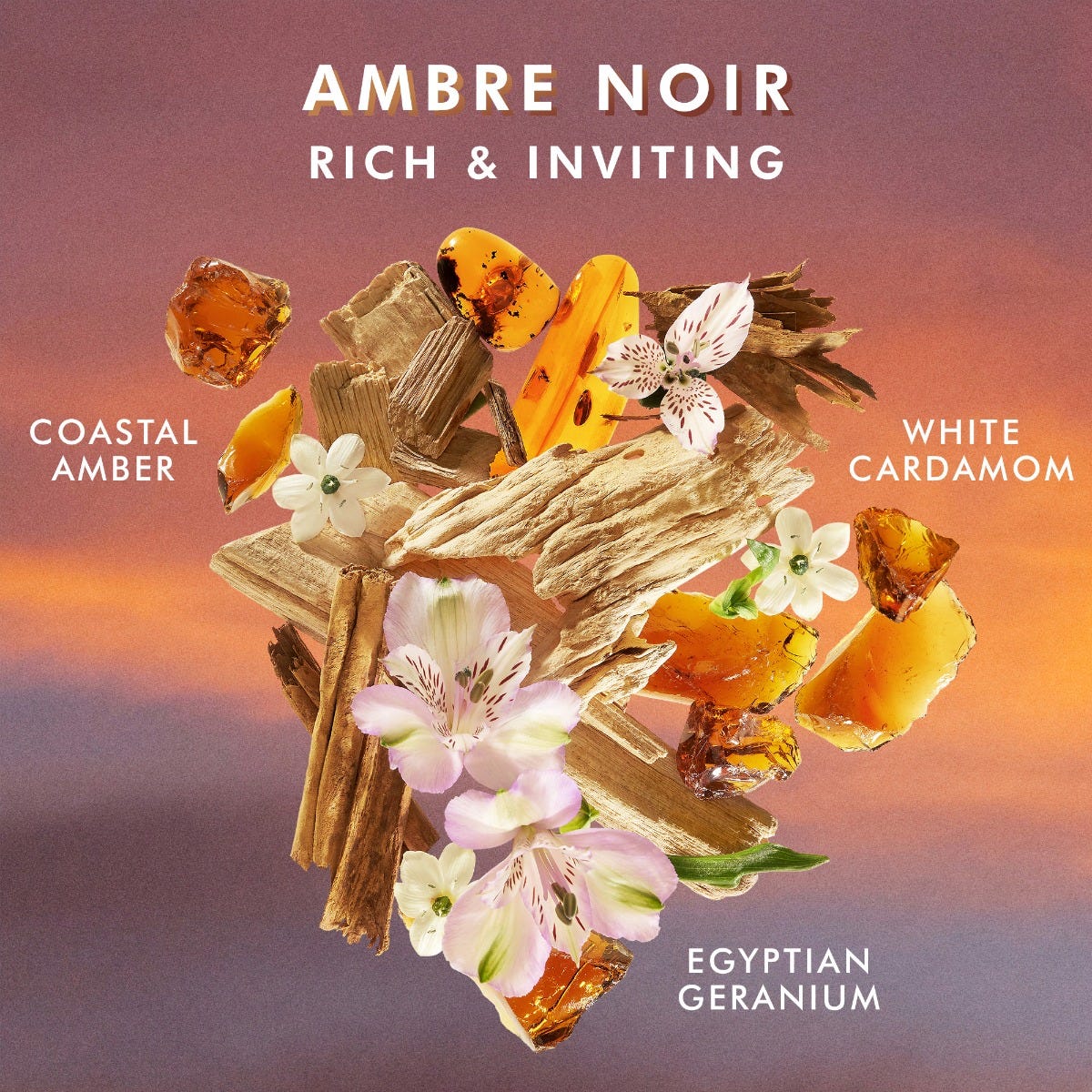 Handseife Ambre Noir