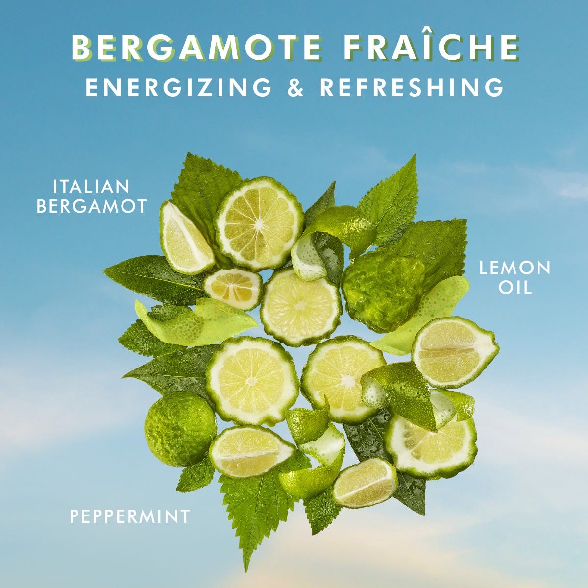 Handseife Bergamote Fraiche